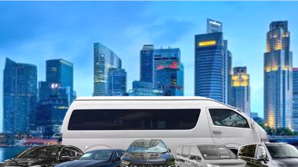 MLS LUXURY LIMOUSINE